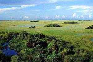 Everglades National Park - Naples, FL 34120               
